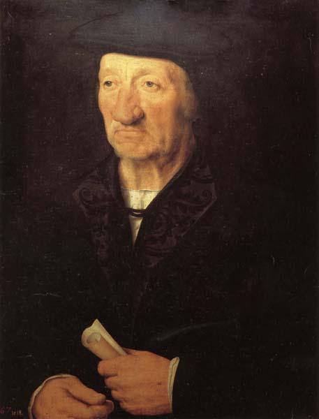 Hans holbein the younger Portrait of an Old Man Germany oil painting art